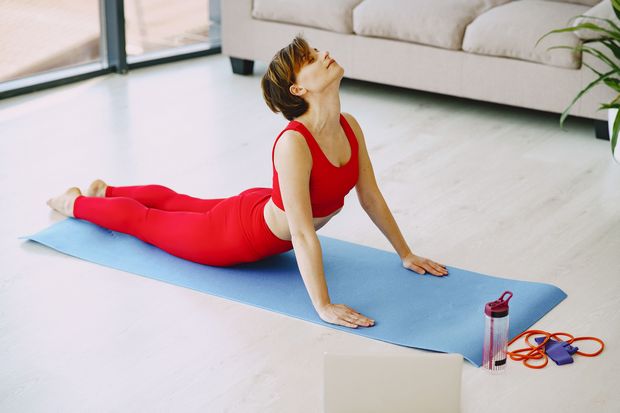 Stretch Fabrics